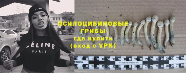 МДПВ Валдай