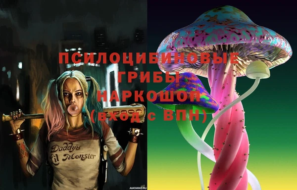 не бодяженный Белокуриха