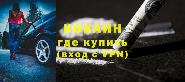 стафф Тайга