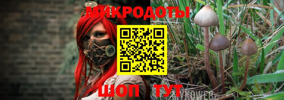 Галлюциногенные грибы мицелий  Псилоцибиновые грибы MAGIC MUSHROOMS  купить закладку  Назрань 